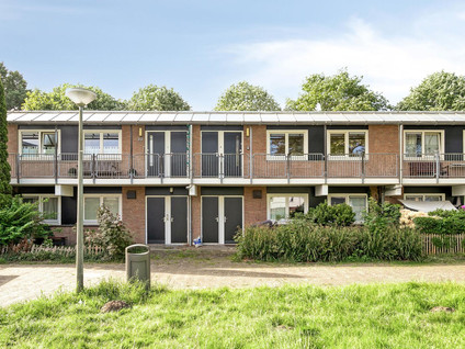 Vrije Geer 21