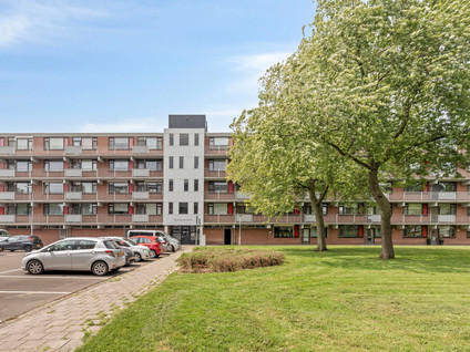 Banckertstraat 39
