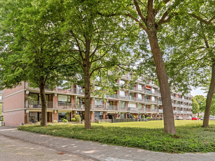 Banckertstraat 39