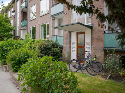 Moddermanstraat 19