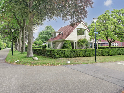 Veldekster 42
