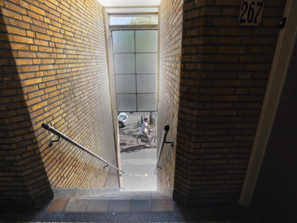 De La Reyweg 265