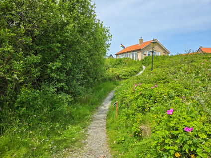 Midsland Aan Zee 366