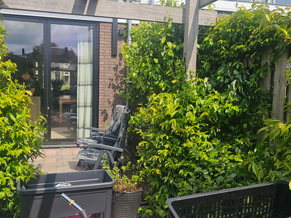 Prins Willem-Alexandersingel 87