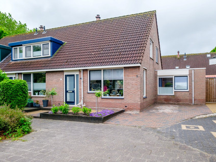 Sterrekroos 99