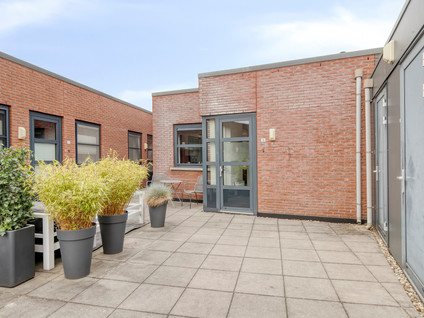 Zandoogje 16