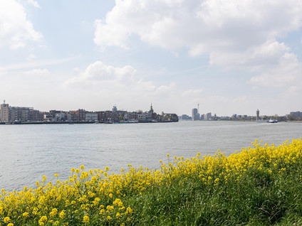 Merwehoofd 79
