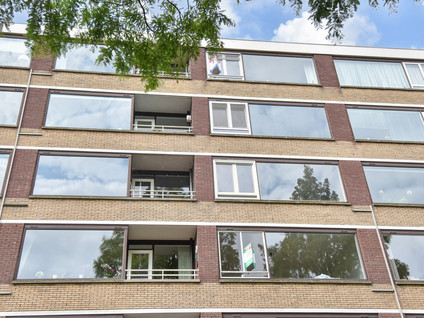 Streksingel 53