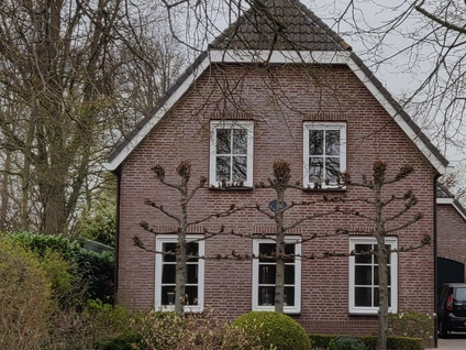 De Hoeven 46A