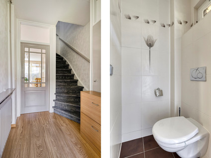 Hertog Albrechtstraat 119