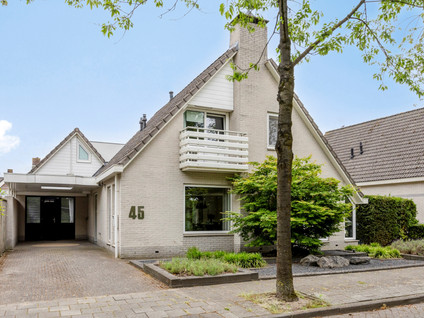 Hopveld 45