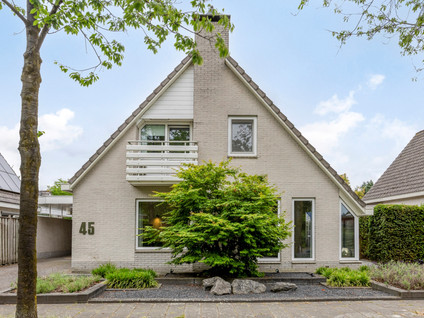 Hopveld 45