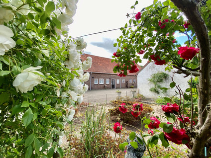 Baakhoven 9
