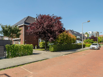 Willem van Nieuwenhuizenlaan 20