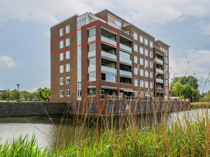 Palissanderhout 88