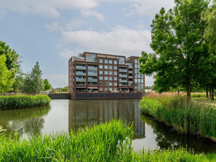 Palissanderhout 88