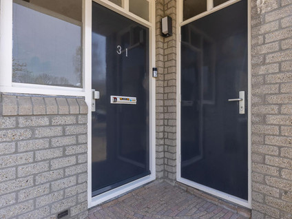 Paardenweide 31