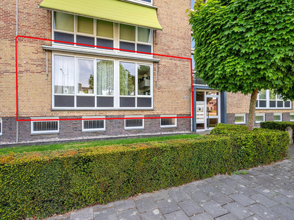 Laaghuissingel 223