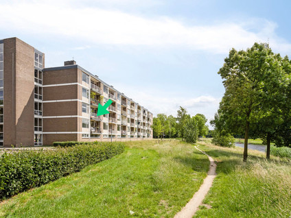 Bowierstraat 55