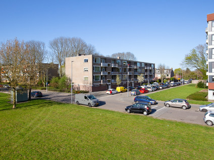 Dalenoord 109