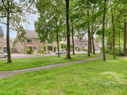 Dorus Rijkersstraat 43