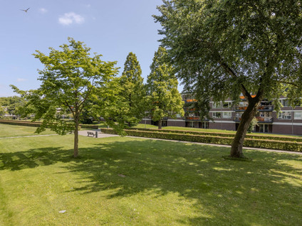 Langeplaat 93