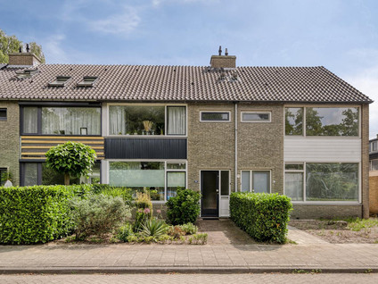 Raamdijk 32