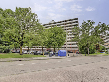 Seringenplantsoen 559