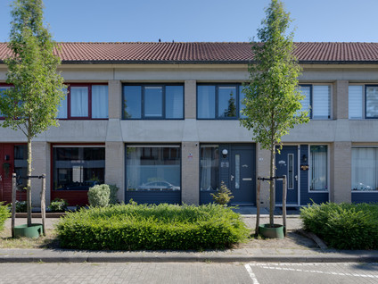 Quickstepstraat 19