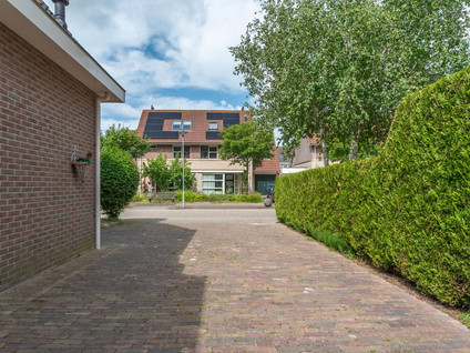 Bomenland 13