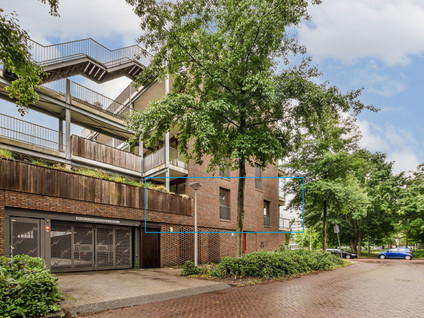 Theodoor van Hoytemastraat 38