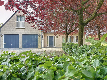 Kieweg 4