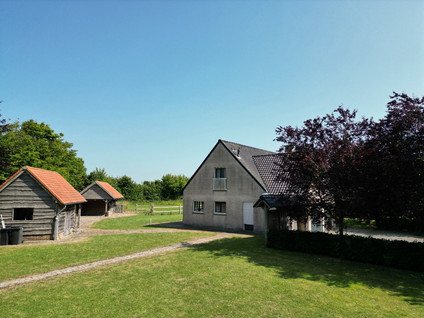 Kieweg 4