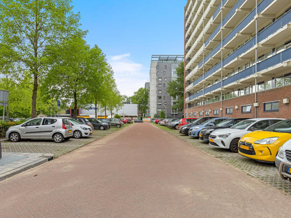 Sperwerstraat 46