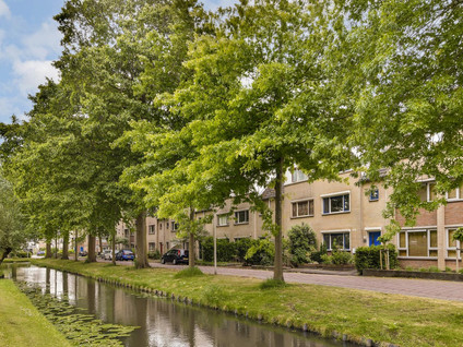 Molenomloop 39
