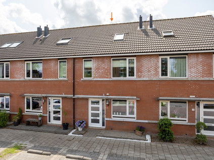 Anthuriumsingel 11