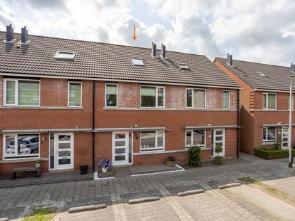 Anthuriumsingel 11