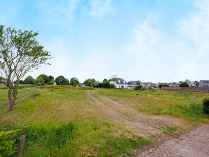 Lavendelstraat 