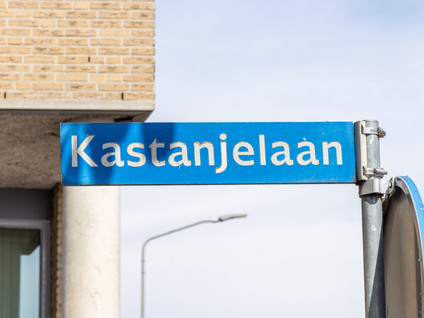 Kastanjelaan 43