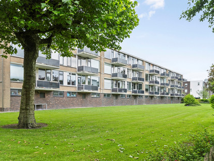 Mozartstraat 55