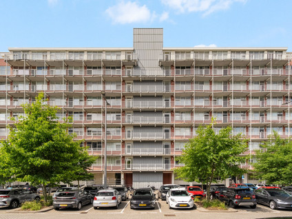 Koningslaan 246