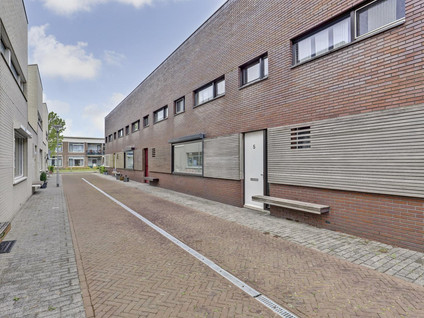 Berkenhof 5