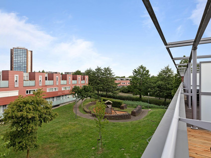 Meerval 28