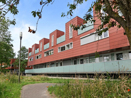 Meerval 28