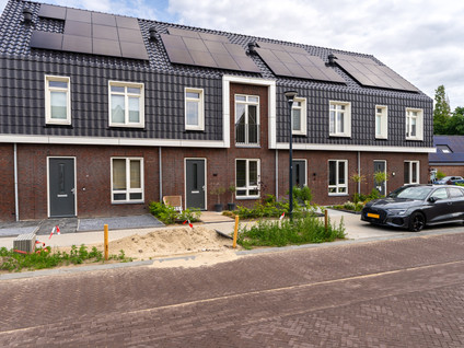 Zilverlinde 6