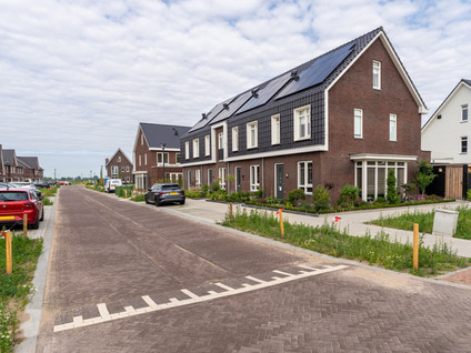 Zilverlinde 6