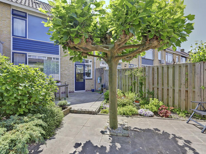 van Alkemadestraat 87