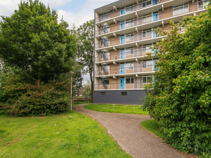 Plutostraat 252