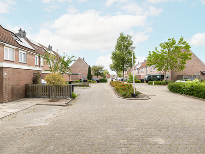 Kalkoensprenk 57
