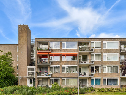 Pruimenlaan 134